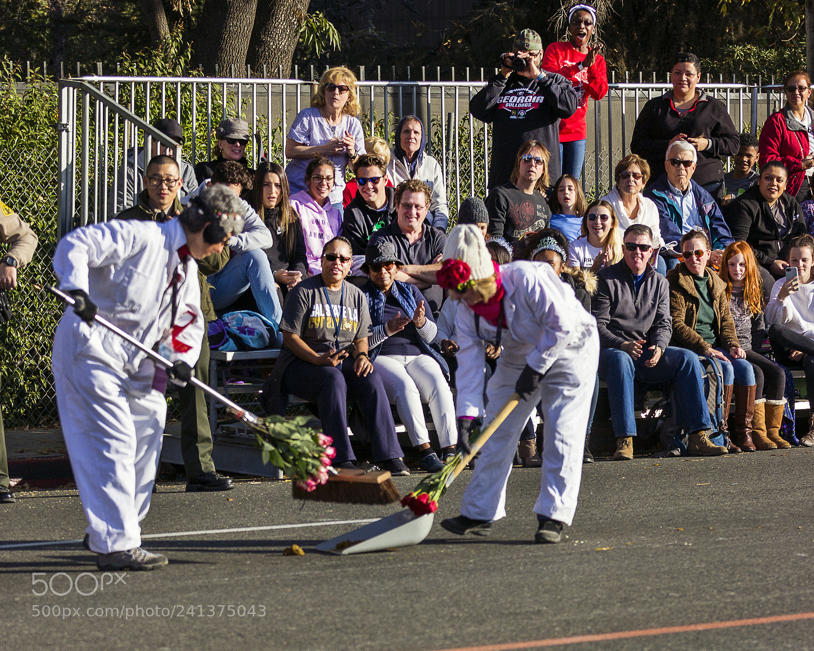 Canon EOS 60D sample photo. Pooper scoopers - rose photography