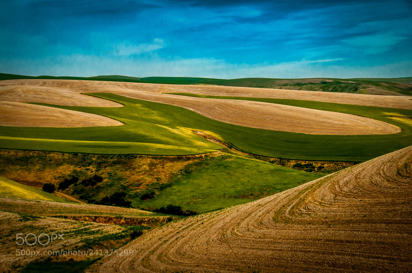 Nikon D300 sample photo. Farm land photography