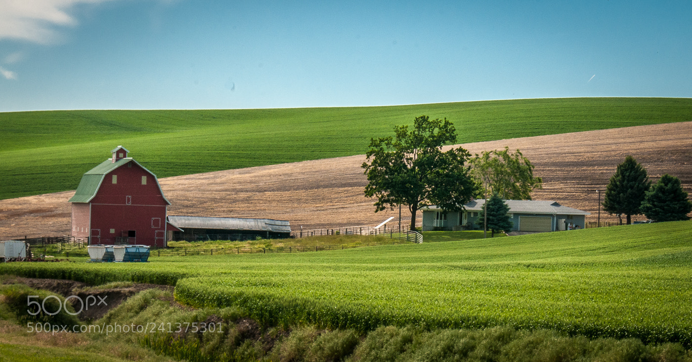 Nikon D300 sample photo. Palouse farm photography