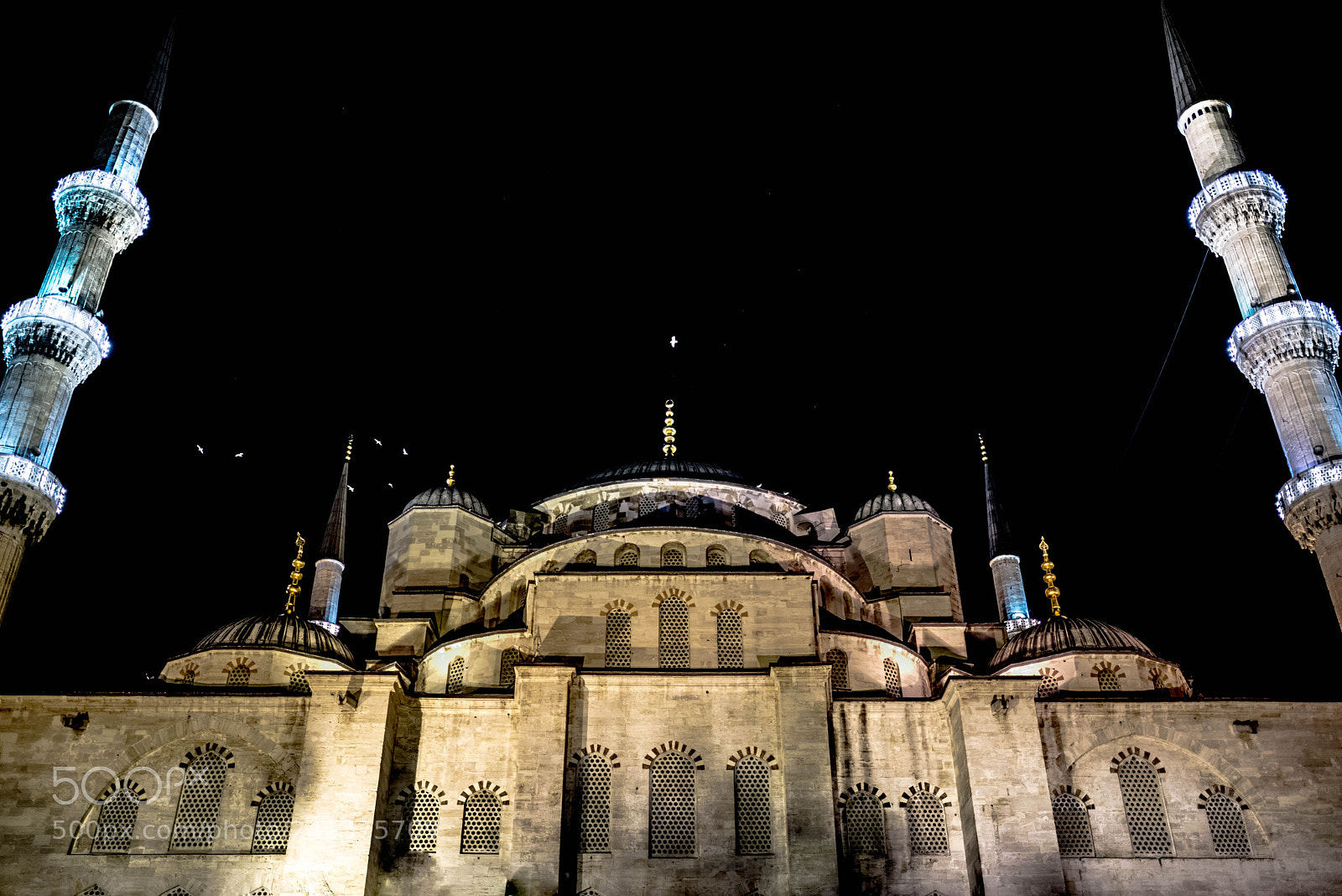 Nikon D800 sample photo. Untitled photography