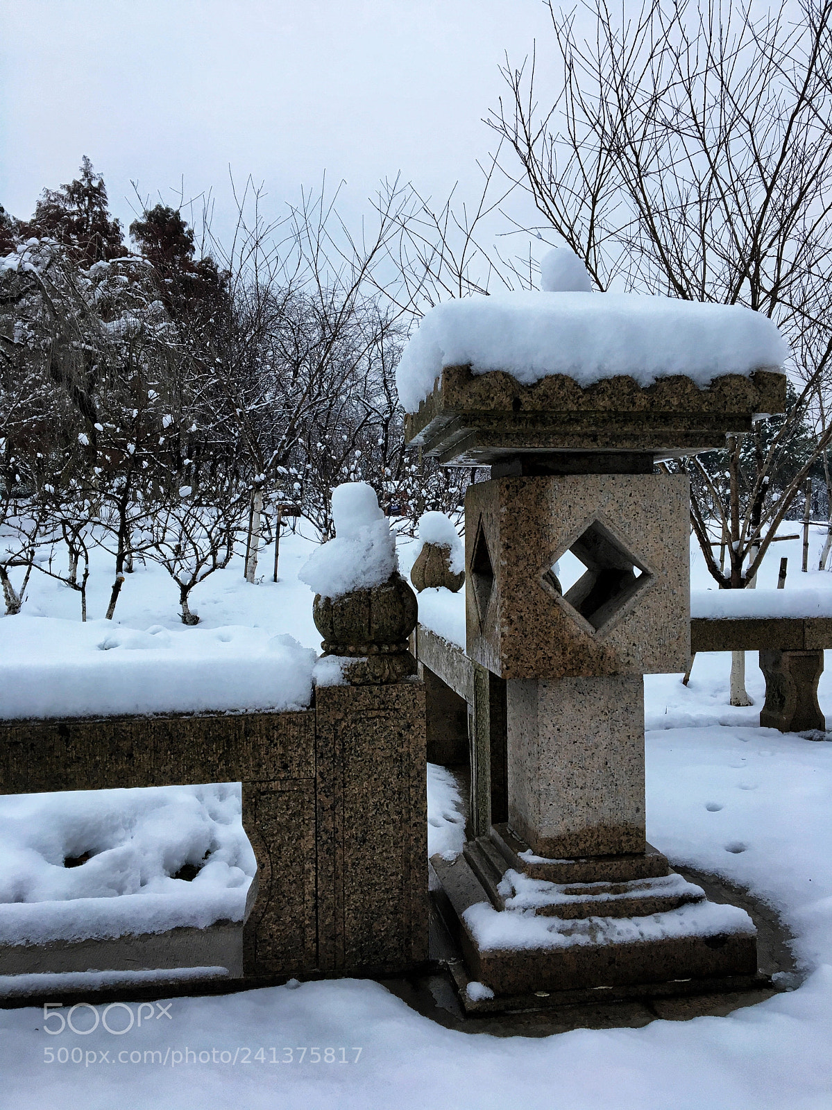 Apple iPhone 6s sample photo. 初雪4 photography