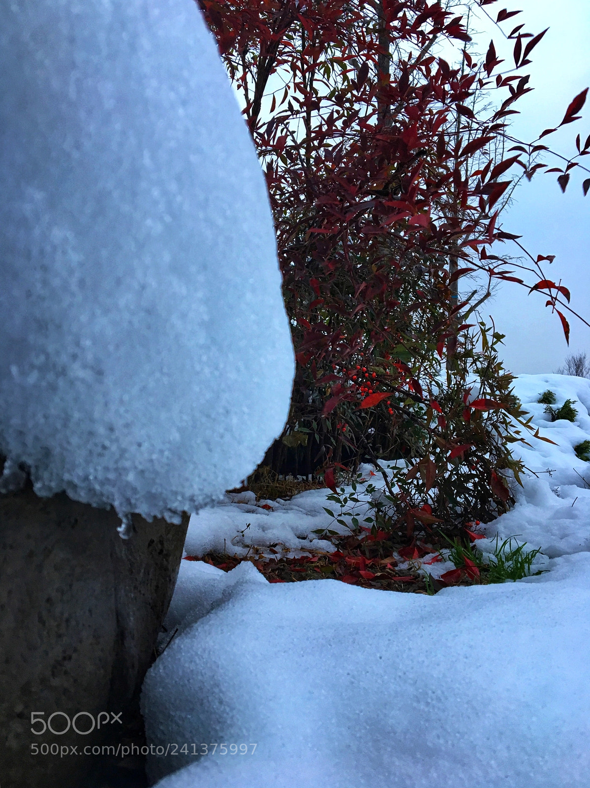 Apple iPhone 6s sample photo. 初雪6 photography