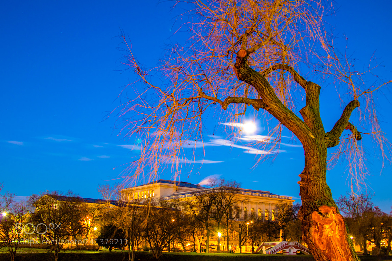 Canon EOS 750D (EOS Rebel T6i / EOS Kiss X8i) sample photo. Tree&moon photography