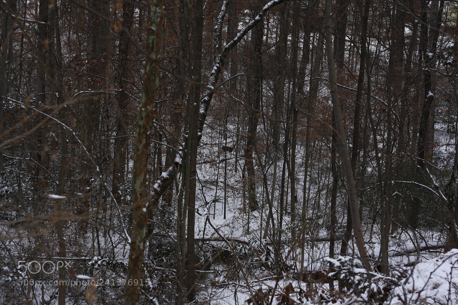 Canon EOS 1000D (EOS Digital Rebel XS / EOS Kiss F) sample photo. Where’s dear oh photography