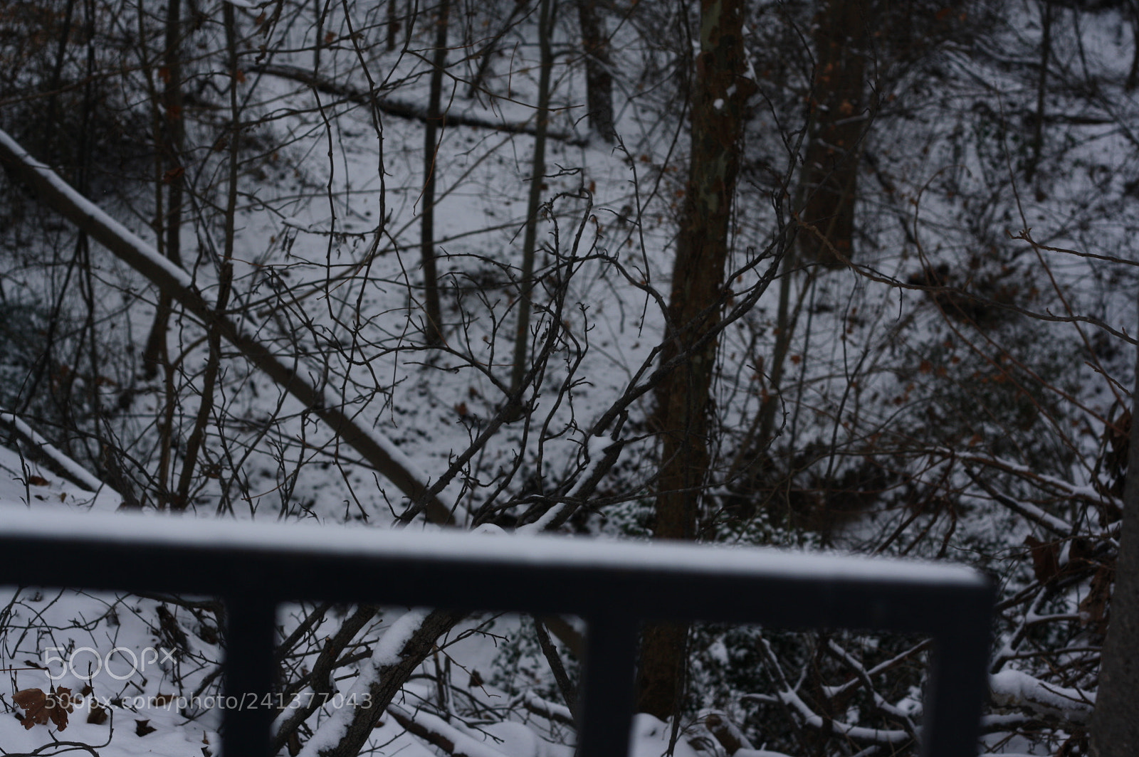 Canon EOS 1000D (EOS Digital Rebel XS / EOS Kiss F) sample photo. The look photography