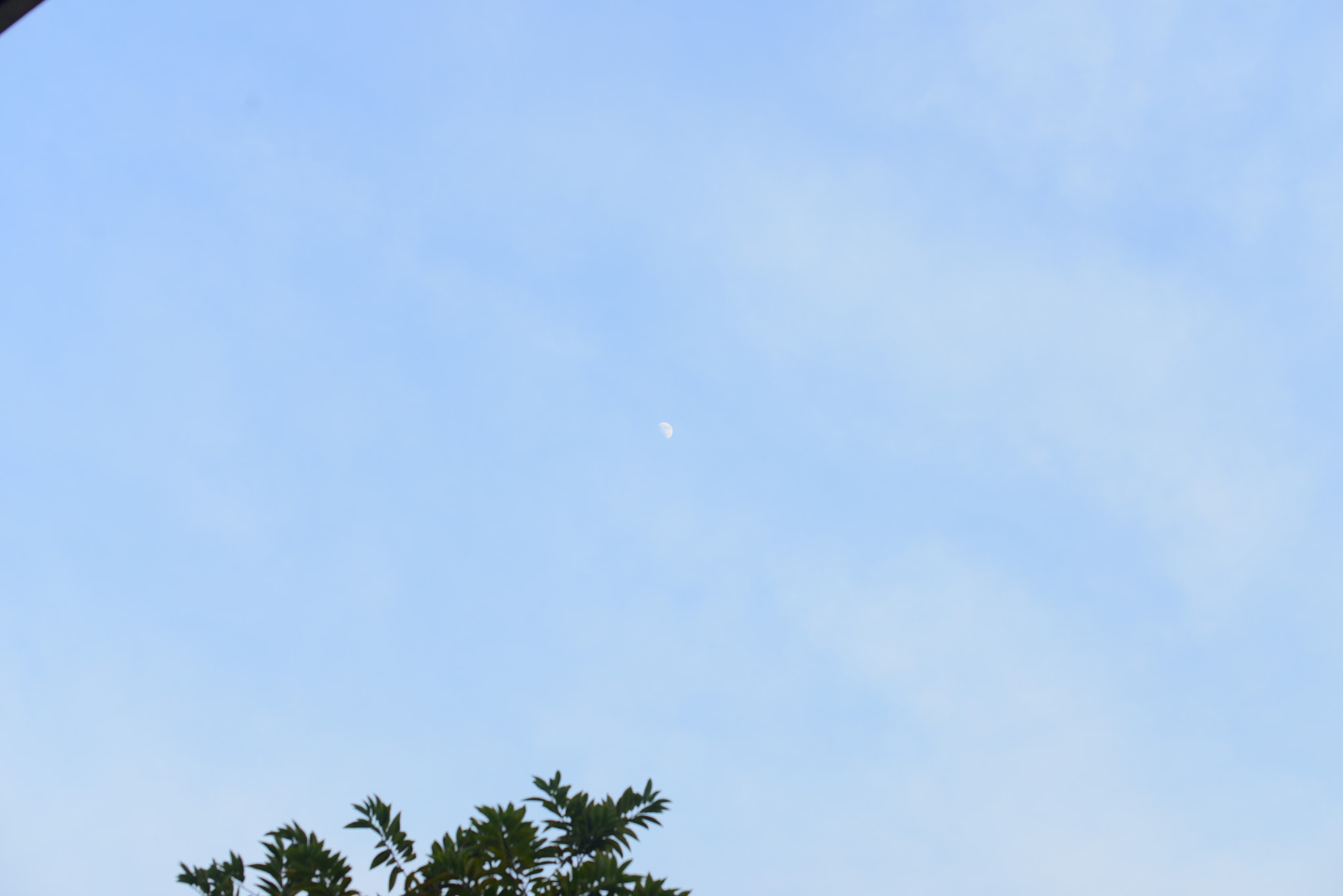 Nikon AF-S Nikkor 50mm F1.4G sample photo. Hdm photography