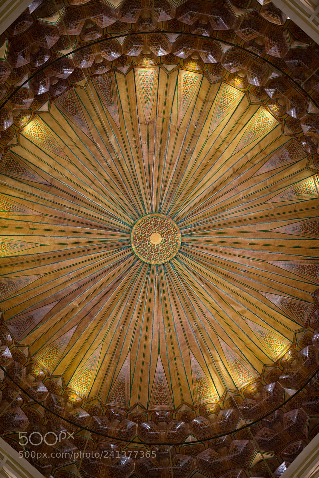 Nikon D800 sample photo. Untitled photography