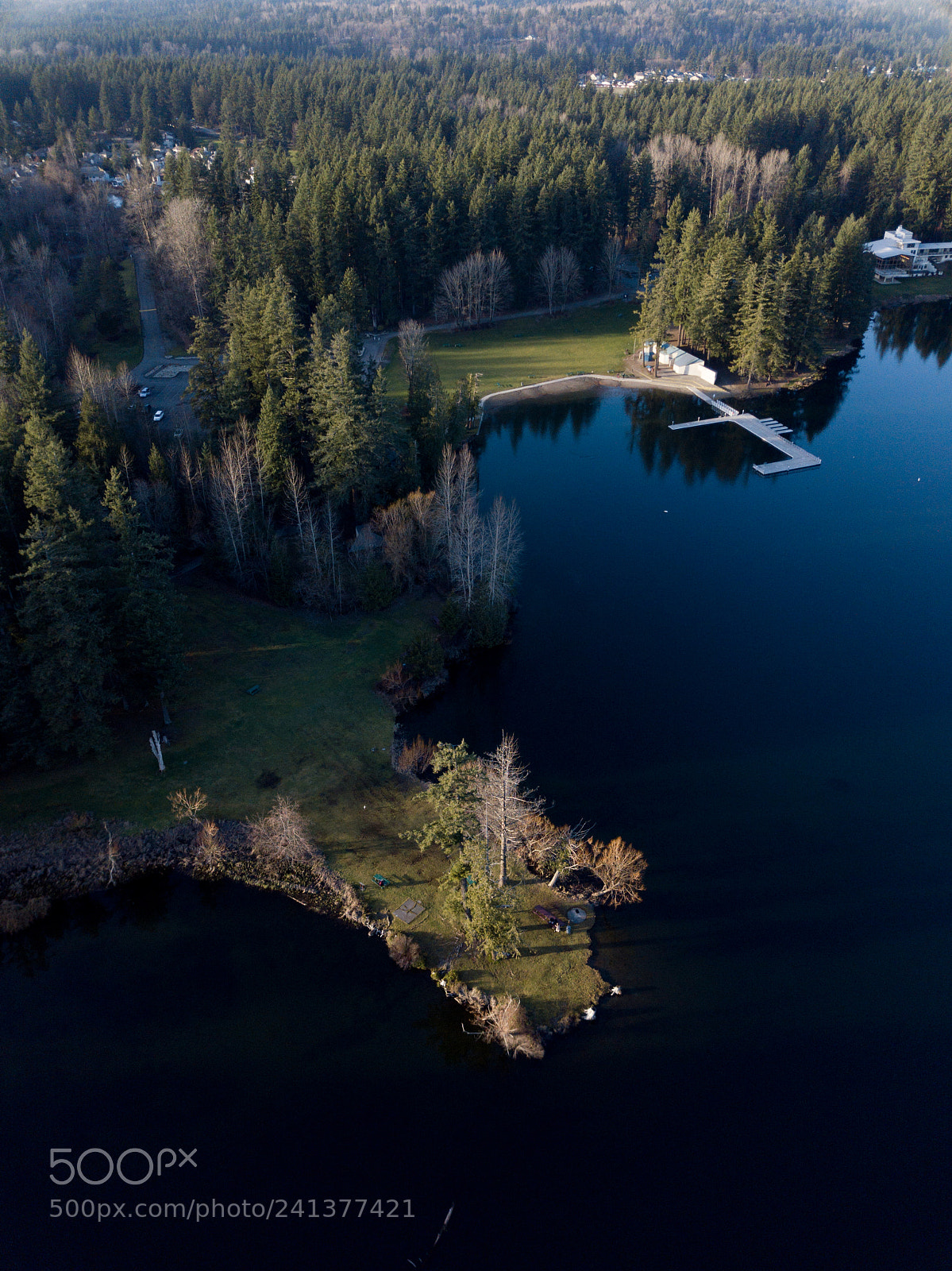 DJI FC220 sample photo. Lake photography