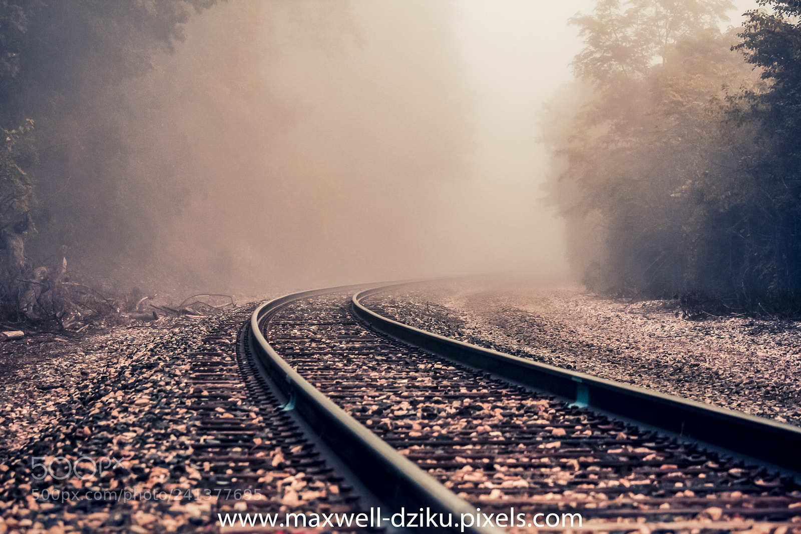 Canon EOS 60D sample photo. Tracks on a foggy photography