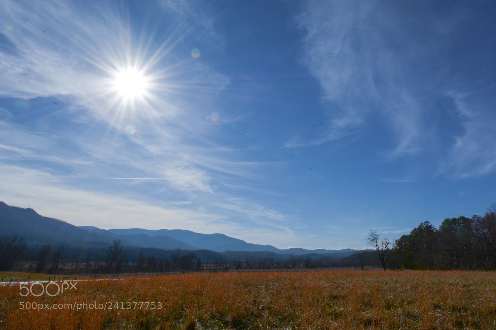 Nikon D7100 sample photo. Great smoky mountains photography