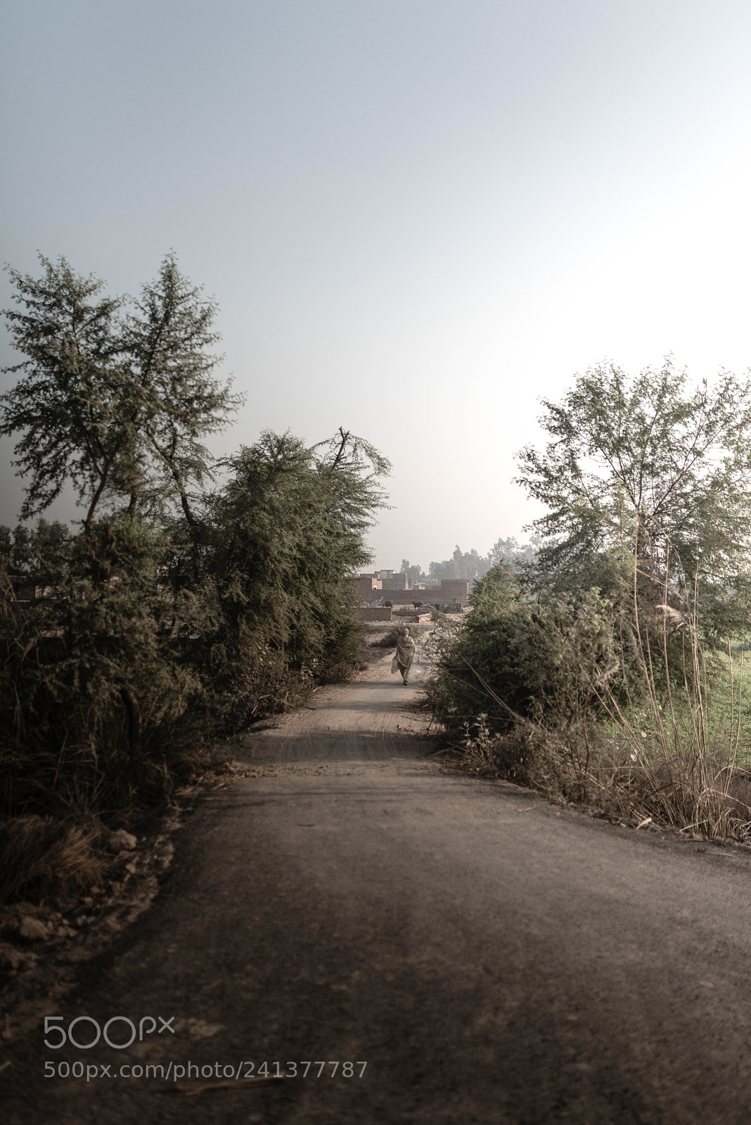 Nikon D800 sample photo. Untitled photography
