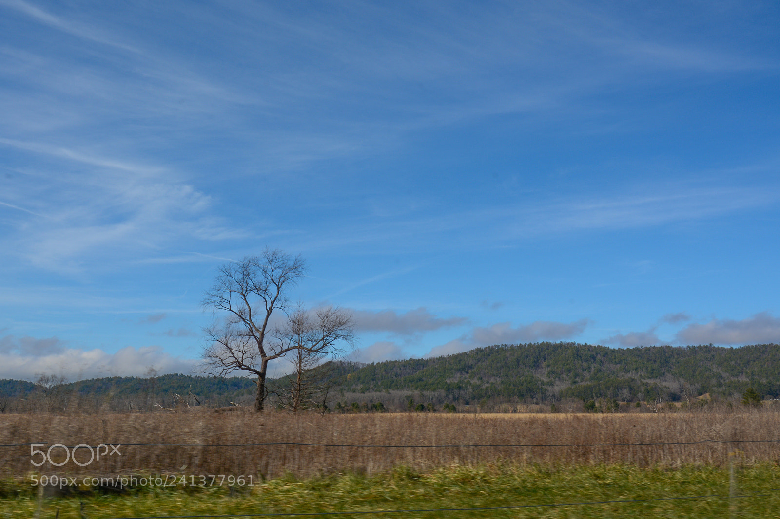 Nikon D7100 sample photo. Great smoky mountains photography