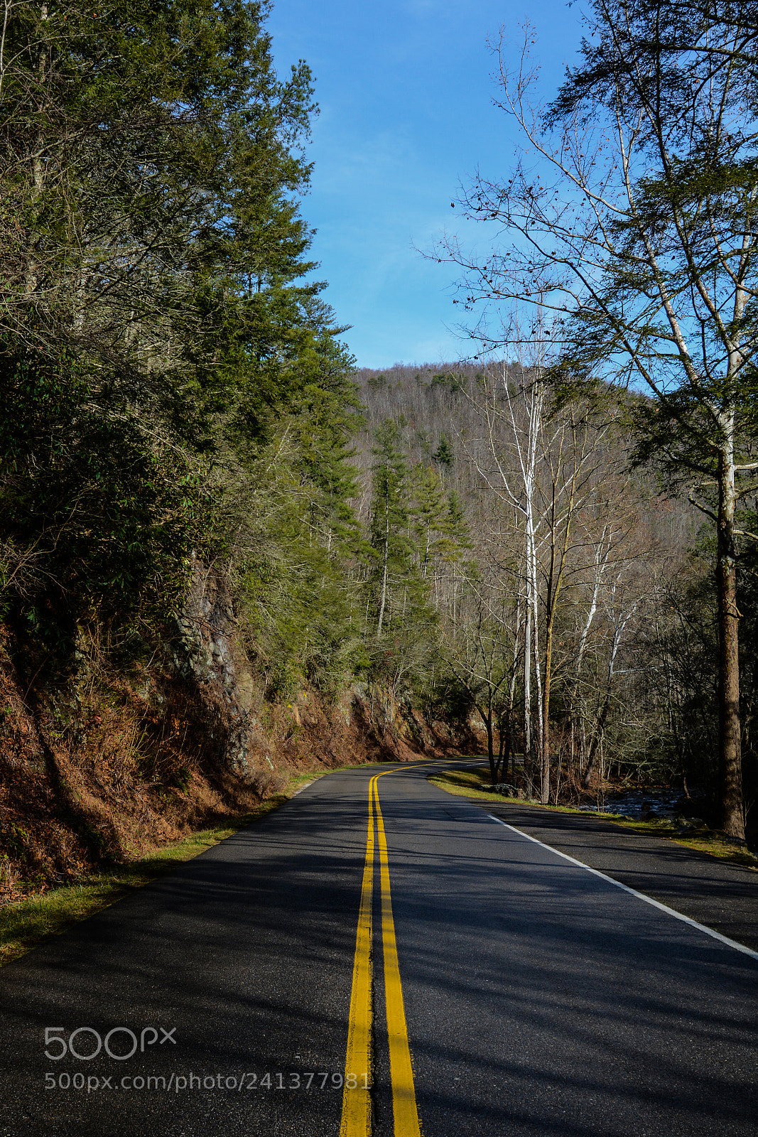 Nikon D7100 sample photo. Great smoky mountains photography