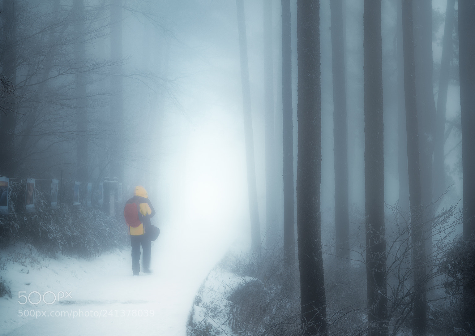 Olympus OM-D E-M1 Mark II sample photo. A loner. a dreamer photography