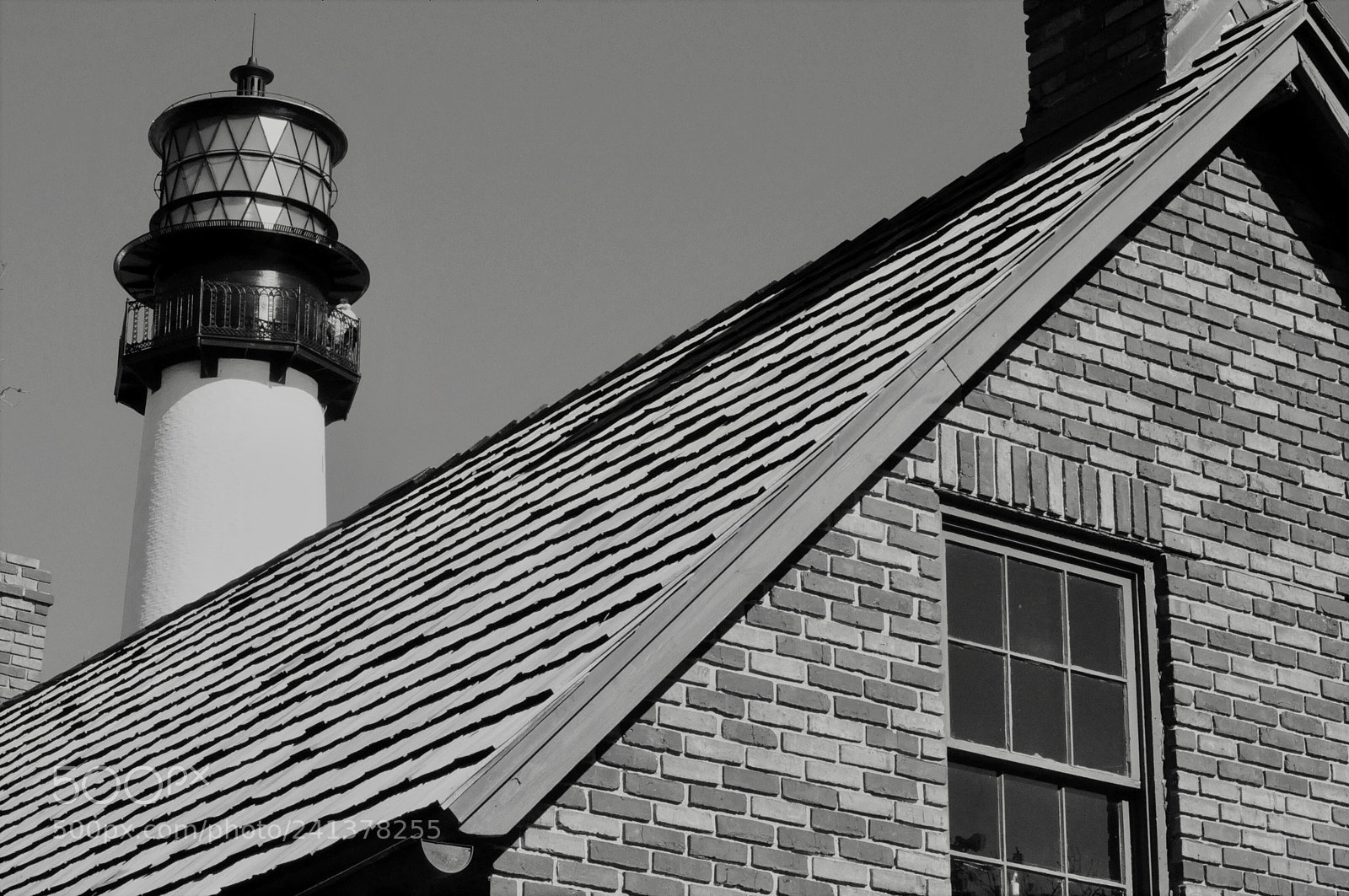 Nikon D90 sample photo. Dbcebe afb b photography