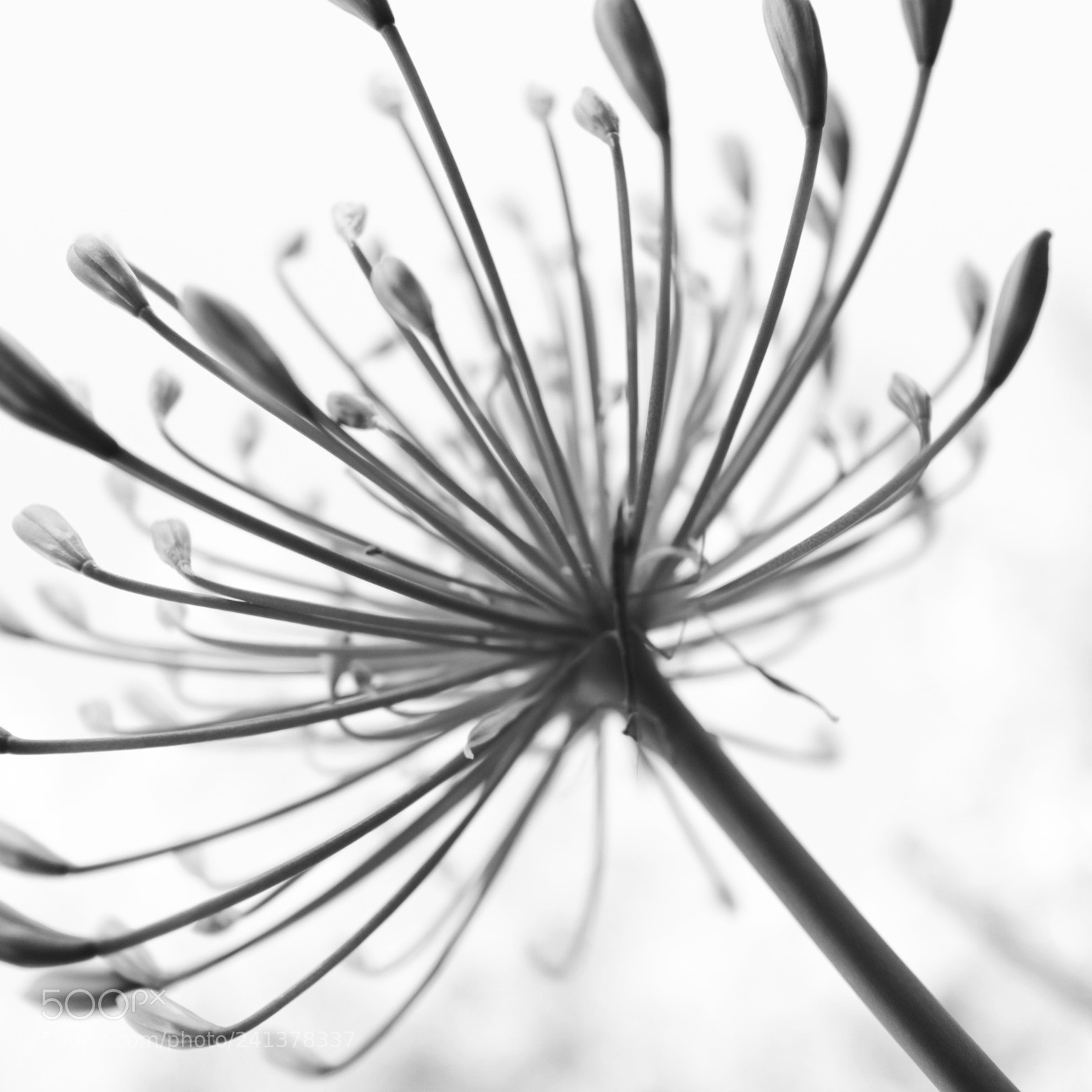 Canon EOS M3 sample photo. Untitled photography