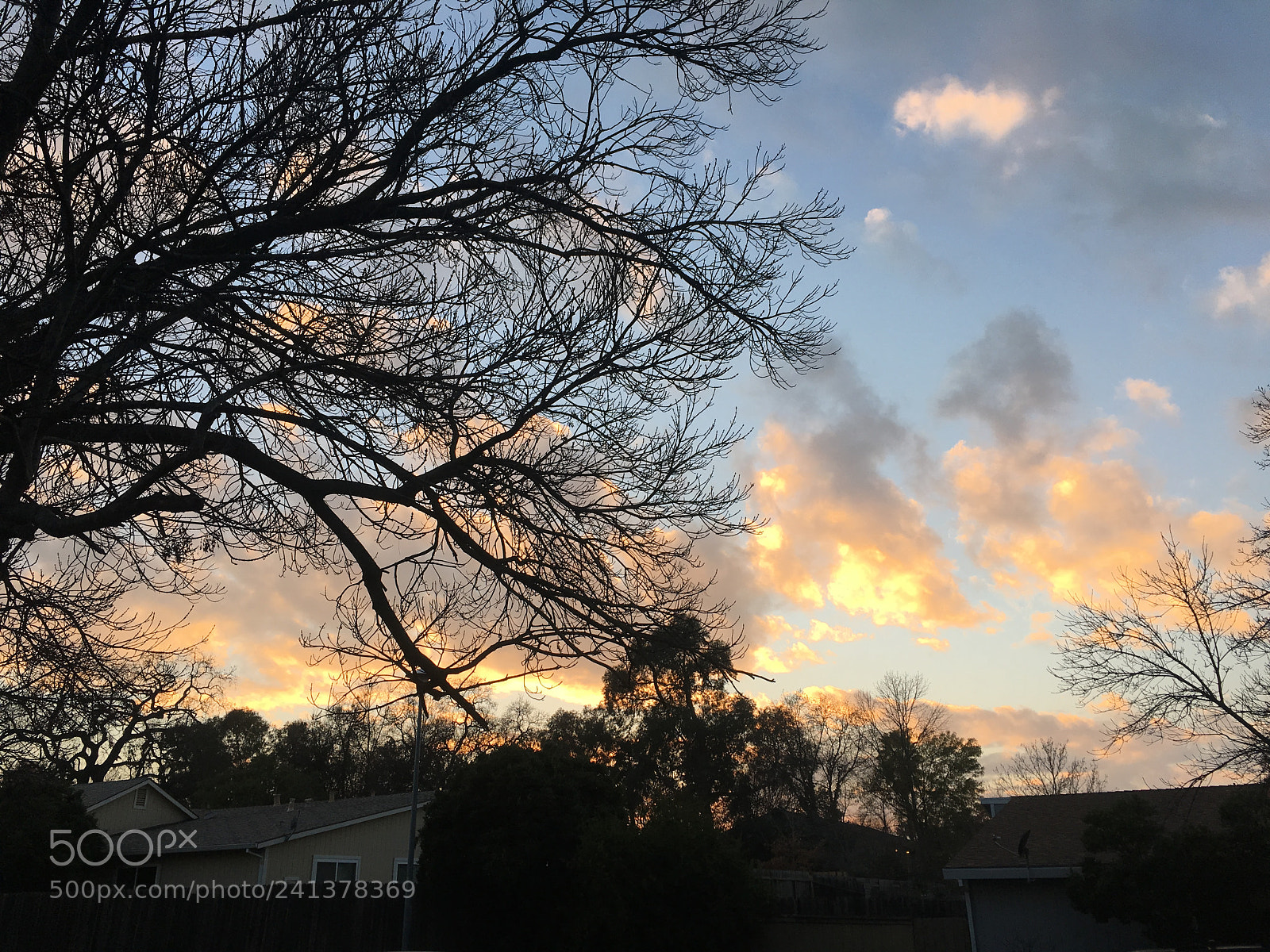 Apple iPhone 6s sample photo. Untitled photography