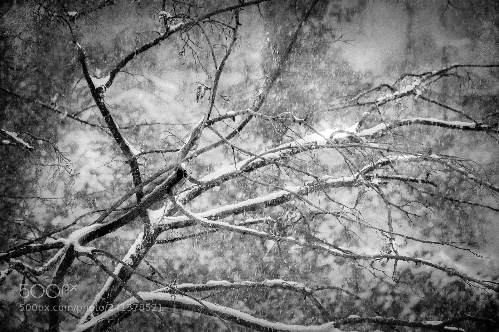 Nikon D7100 sample photo. Nor'easter photography