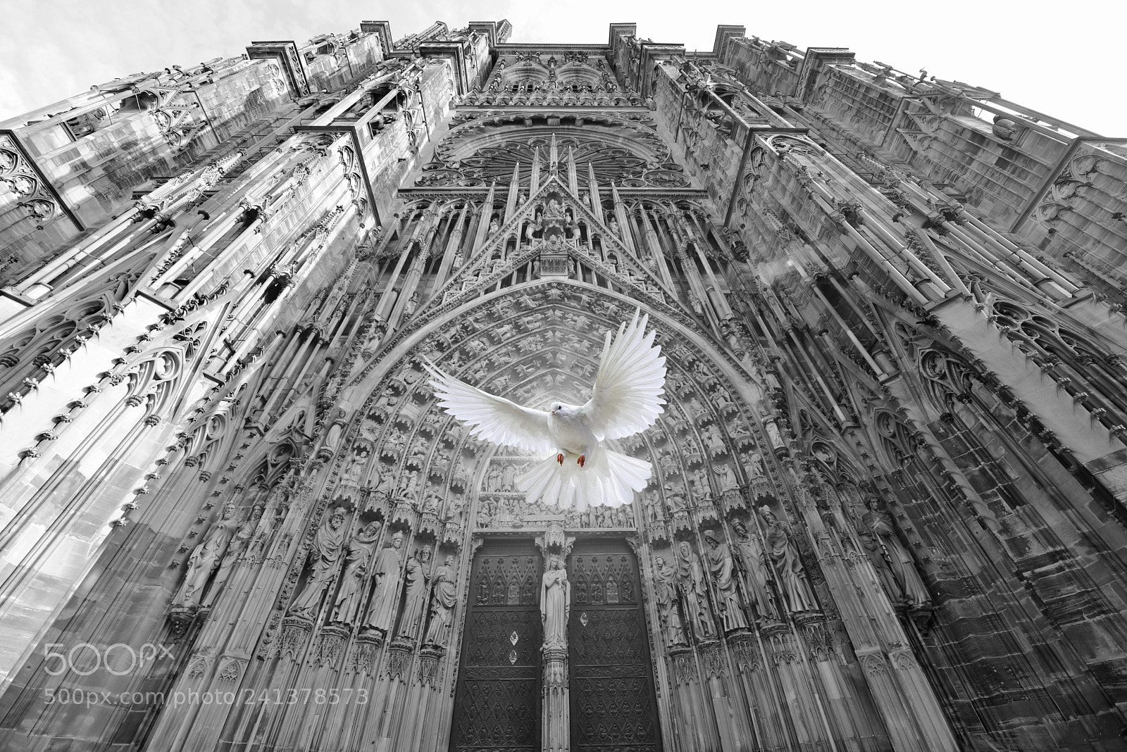 Nikon D800 sample photo. Cathedral of notre-dame, strasbourg photography