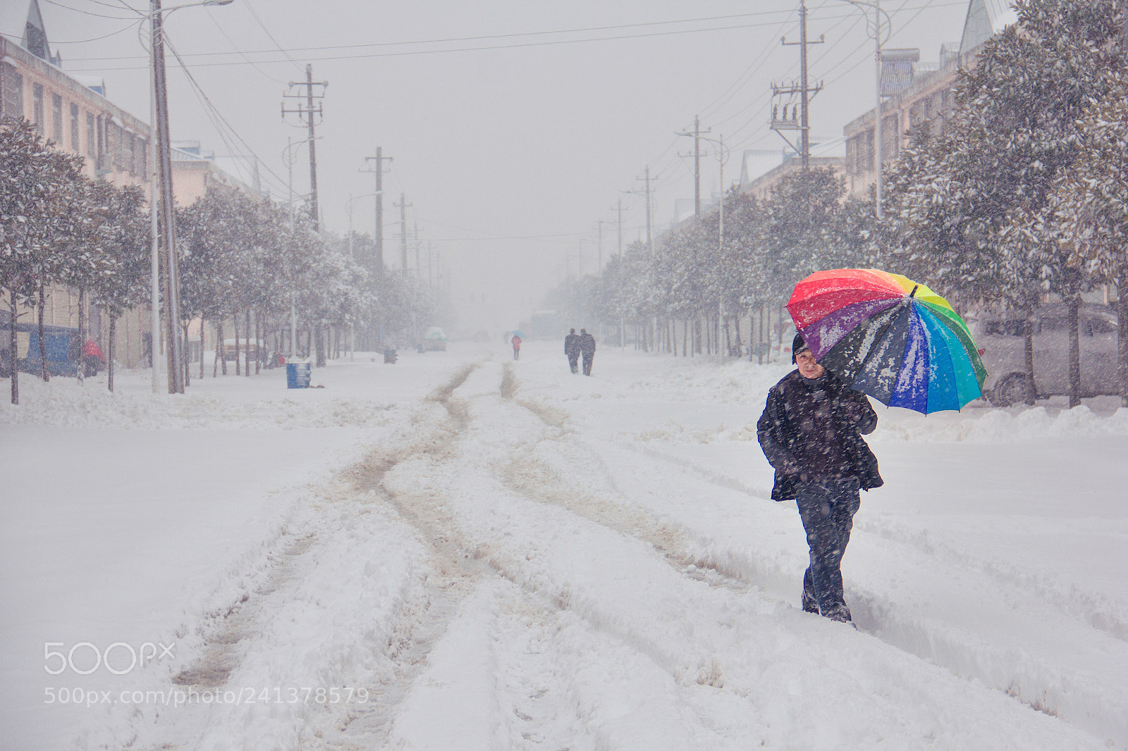 Canon EOS 60D sample photo. 雪 photography