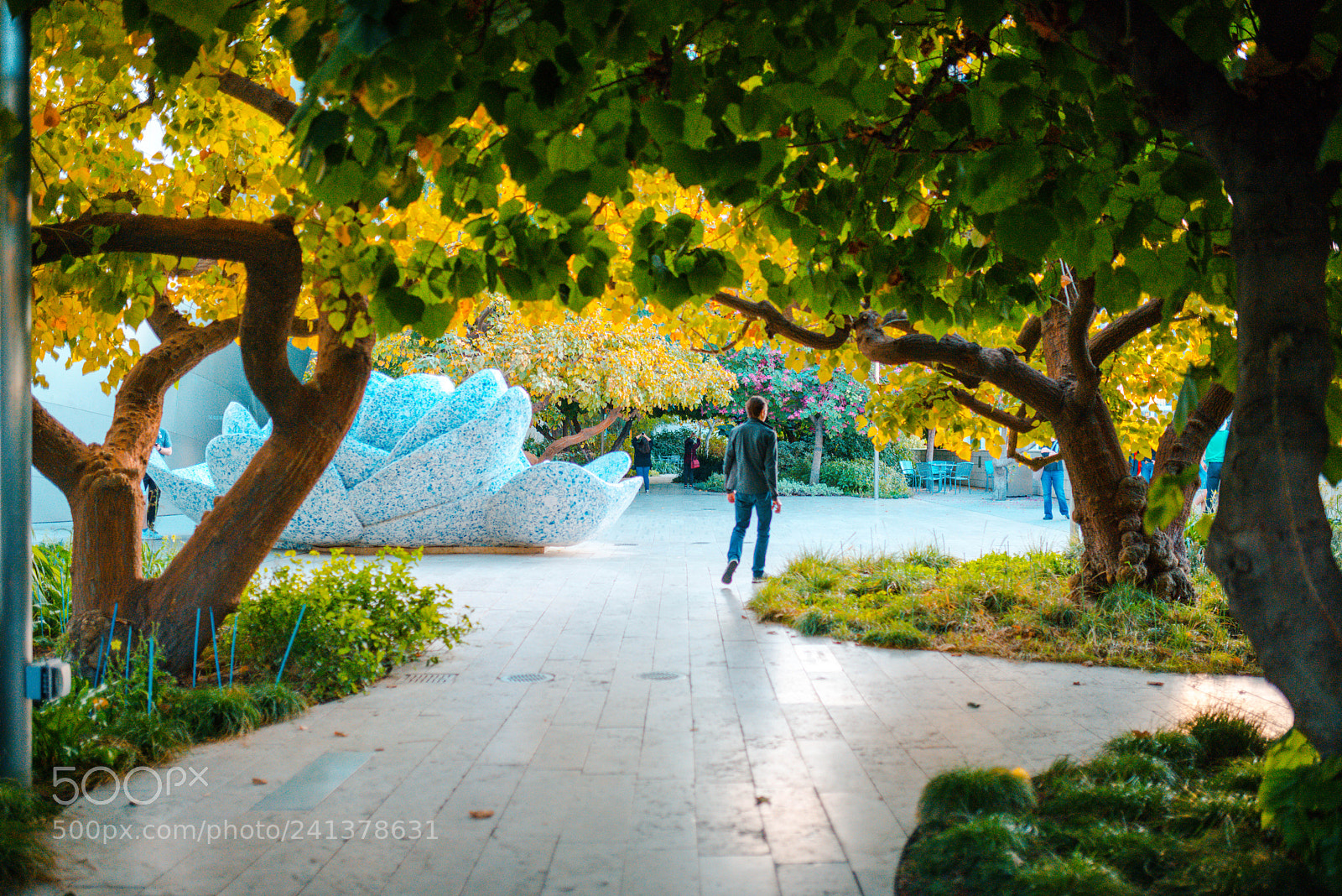 Nikon D800 sample photo. Untitled photography