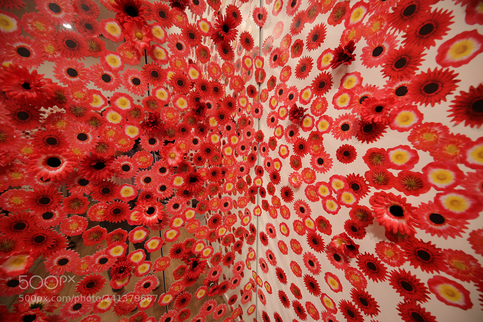 Canon EOS 6D + Canon EF 17-40mm F4L USM sample photo. Yayoi kusama photography