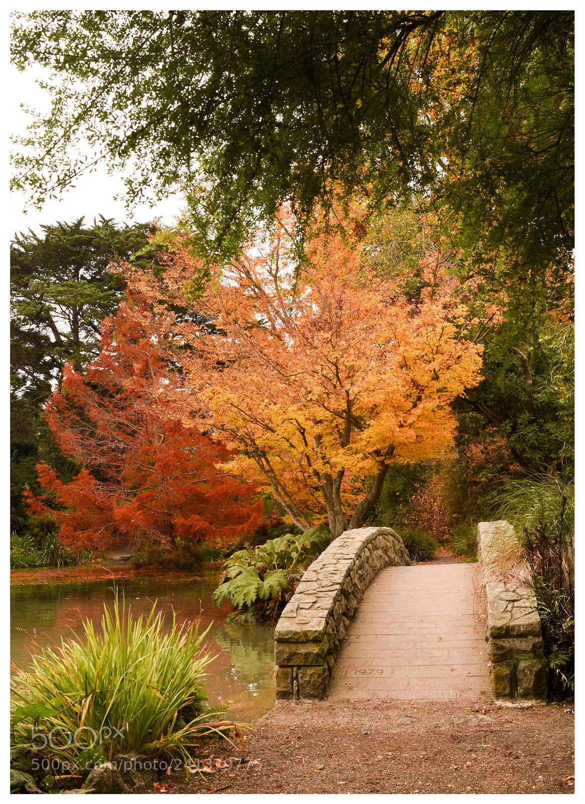 Nikon D5500 sample photo. Colours of autumn  photography