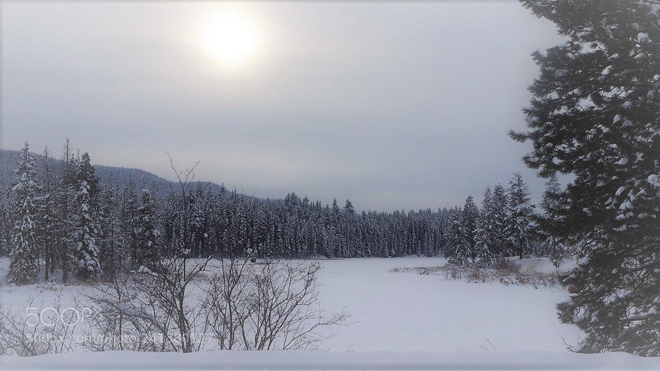 Sony Alpha NEX-3N sample photo. L hiver chez nous... photography