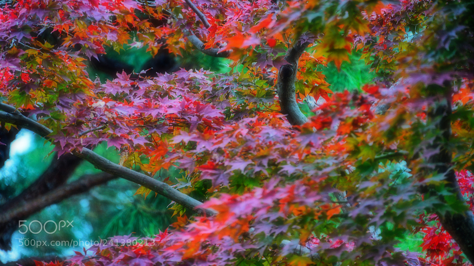 Nikon D800 sample photo. Twist 神戸 photography