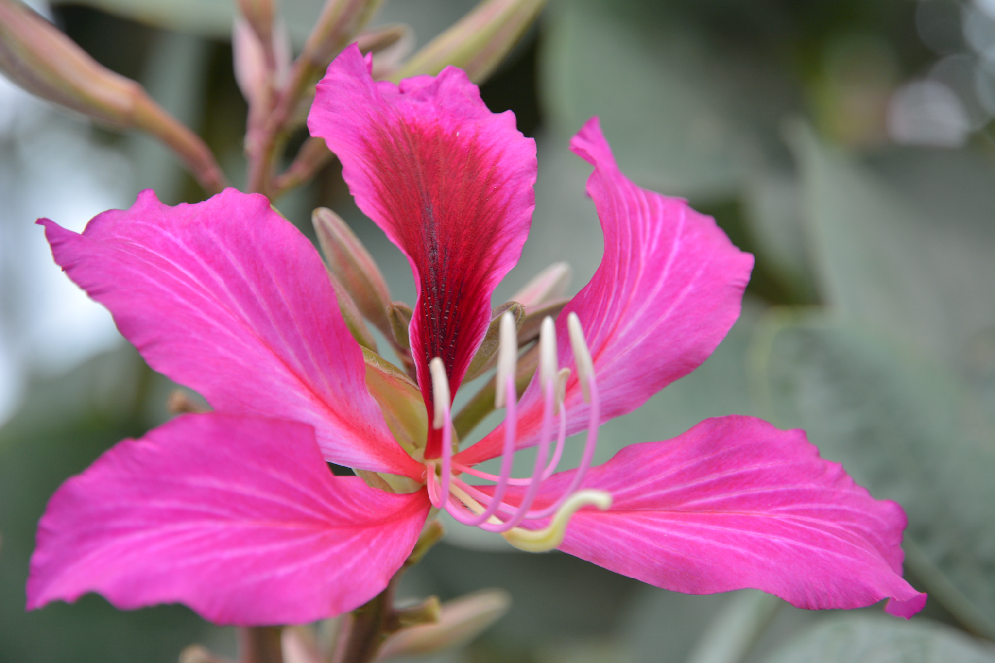 Nikon D7100 sample photo