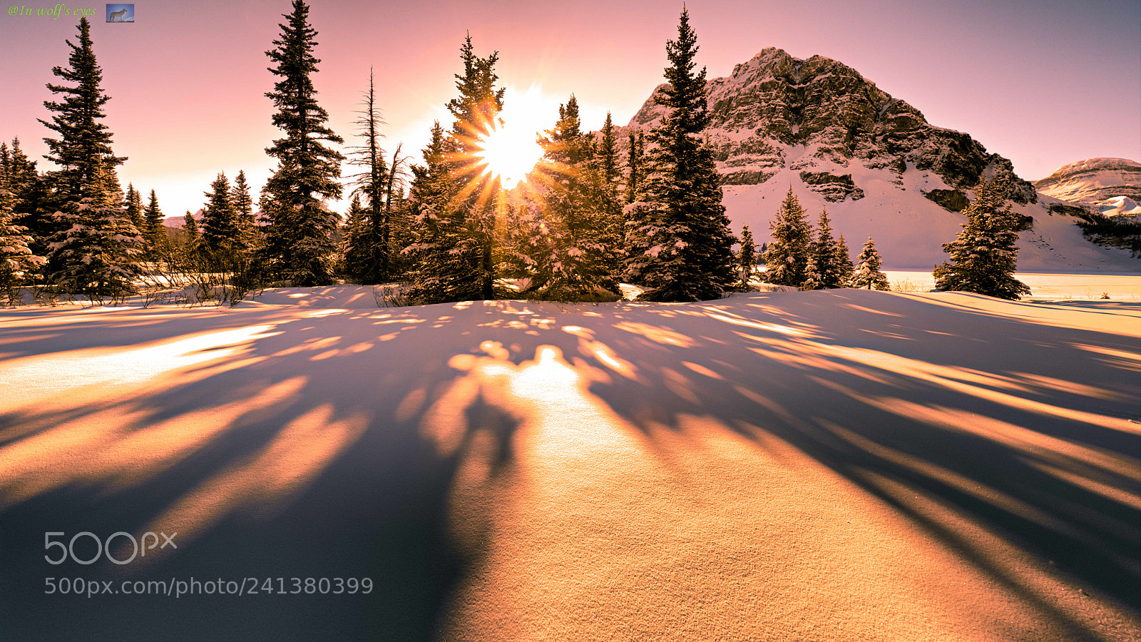 Nikon D810 sample photo. Morning light, canada photography