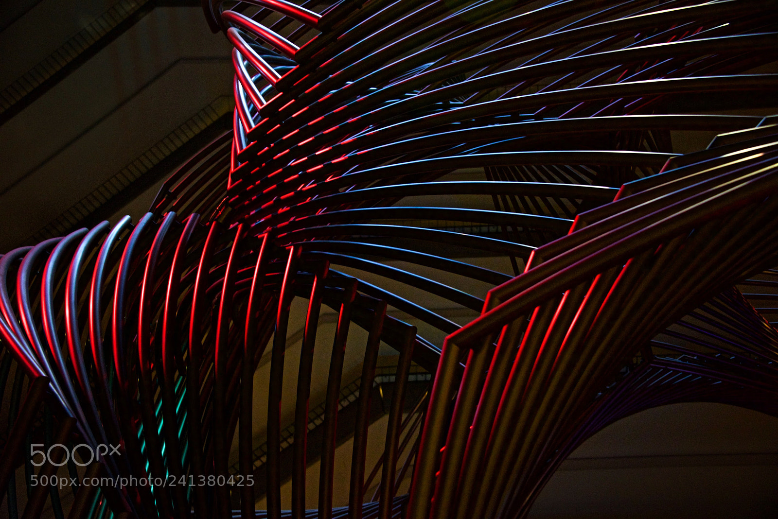 Nikon D810 sample photo. Untitled photography