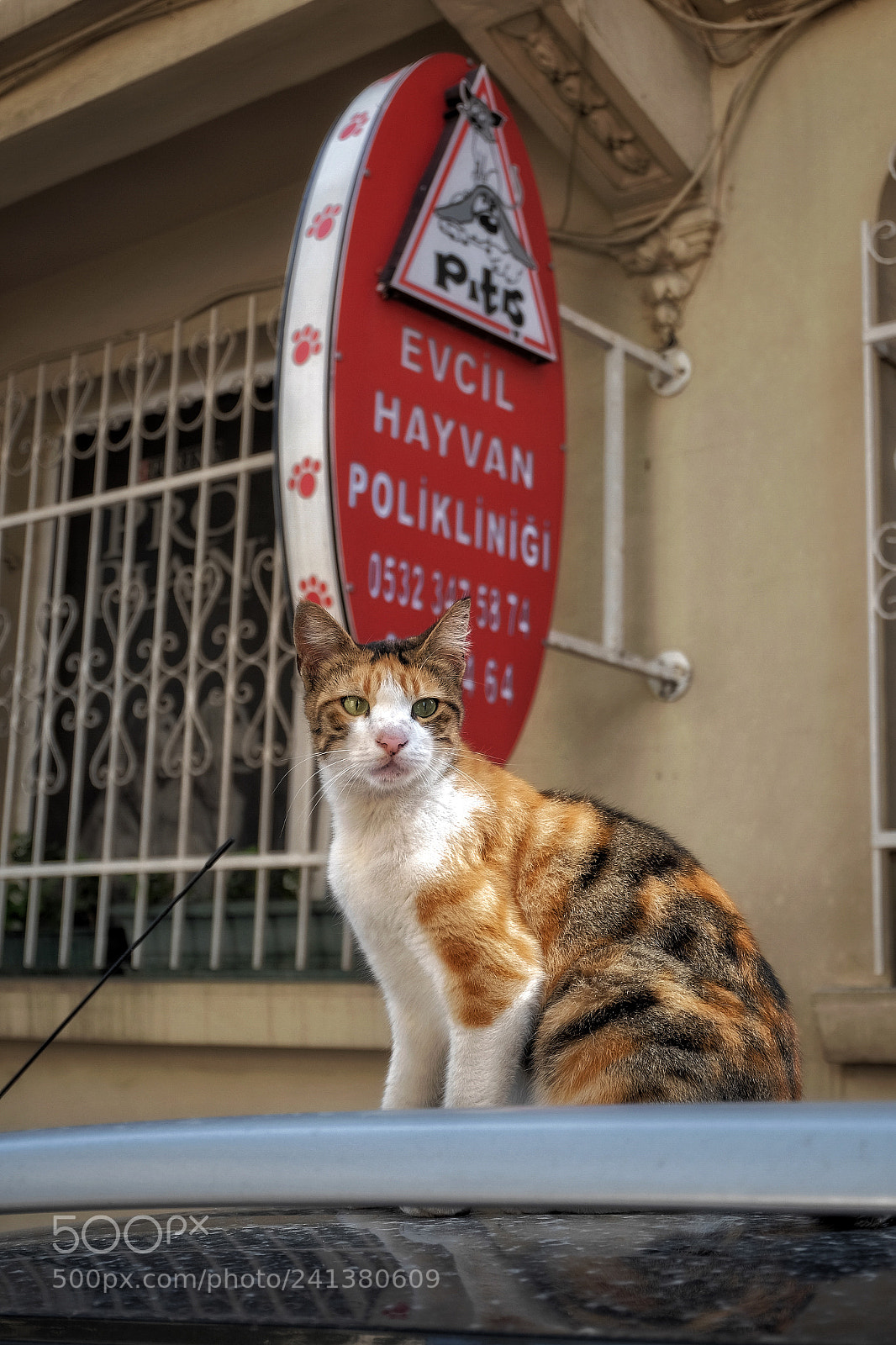 Fujifilm X-T10 sample photo. Sokaklar n kral photography