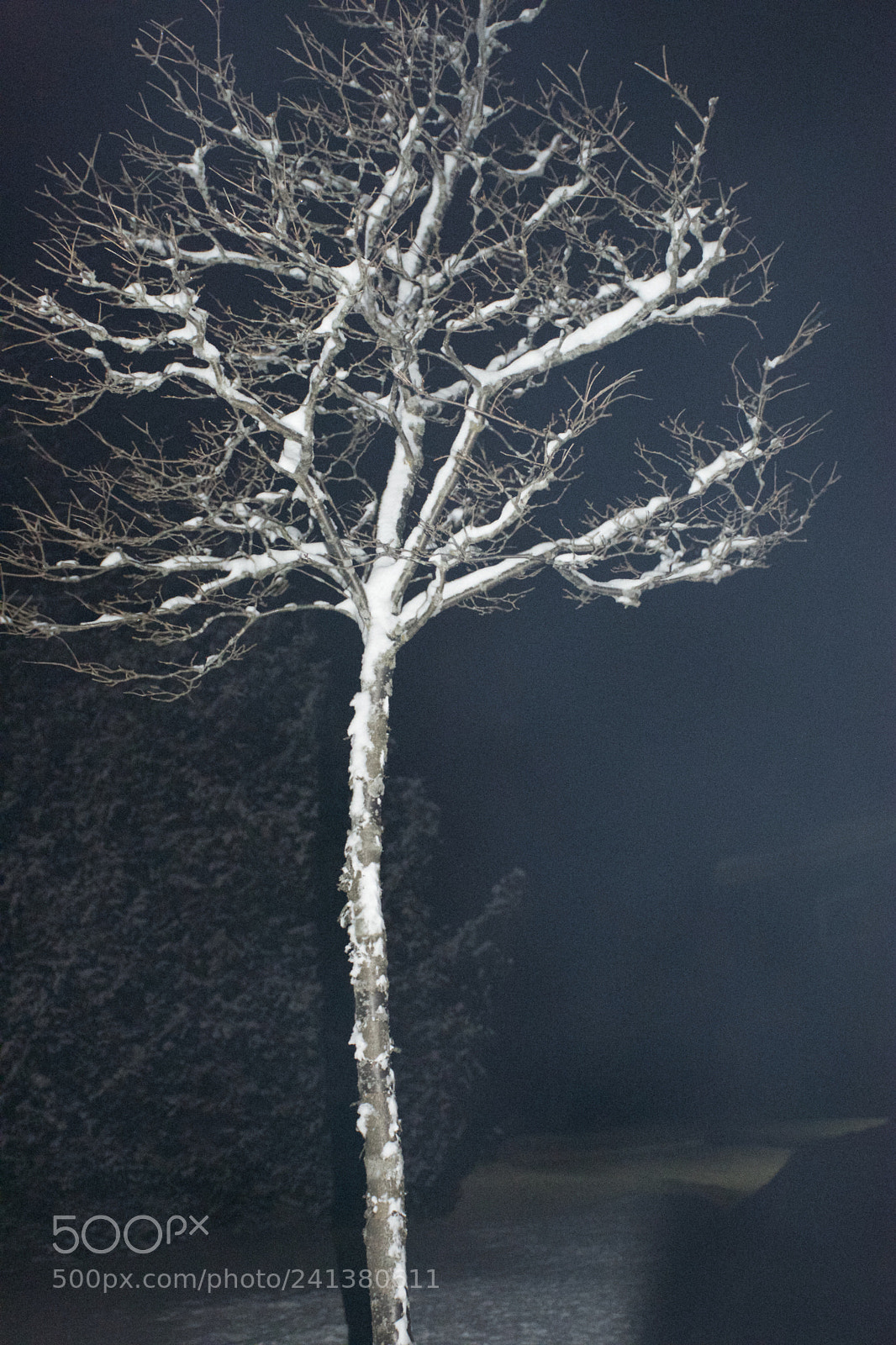 Nikon D7200 sample photo. Winter night photography