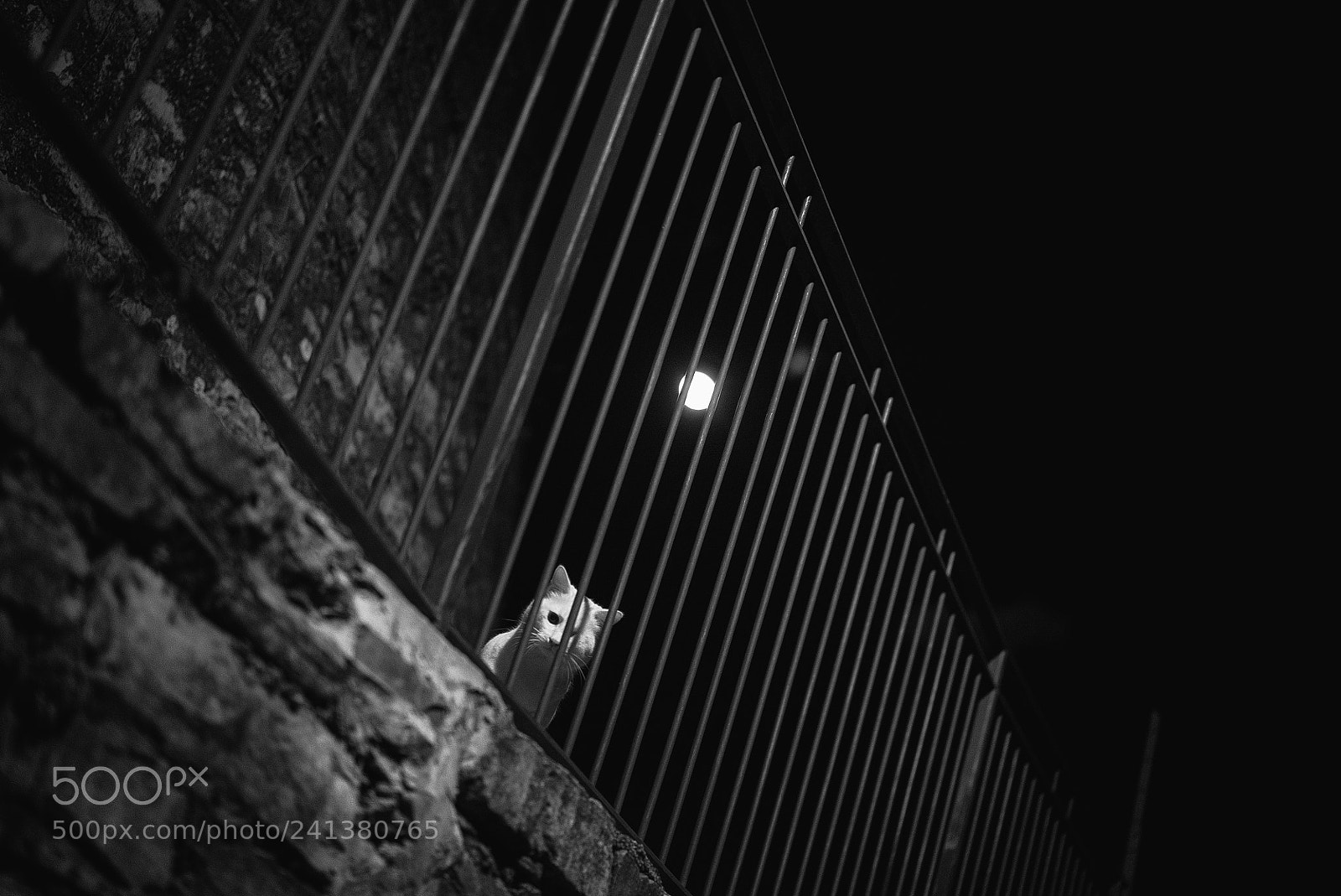 Sony a7S II sample photo. One eyed italian moon photography
