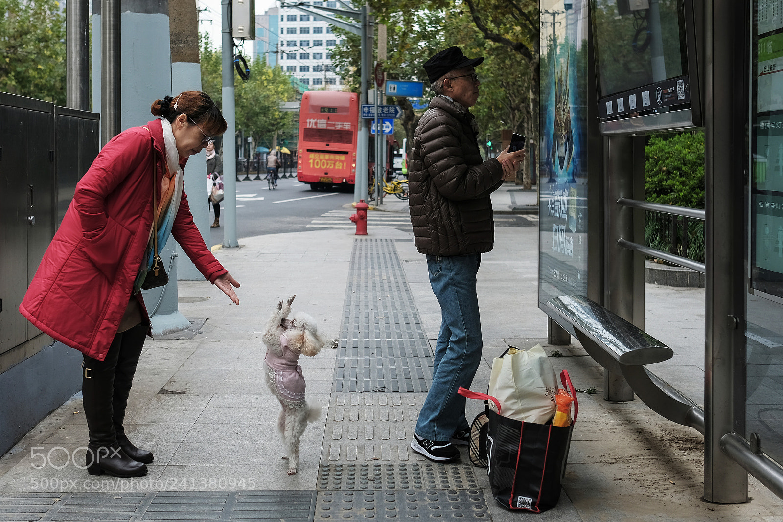 Fujifilm X-T2 sample photo. Untitled photography
