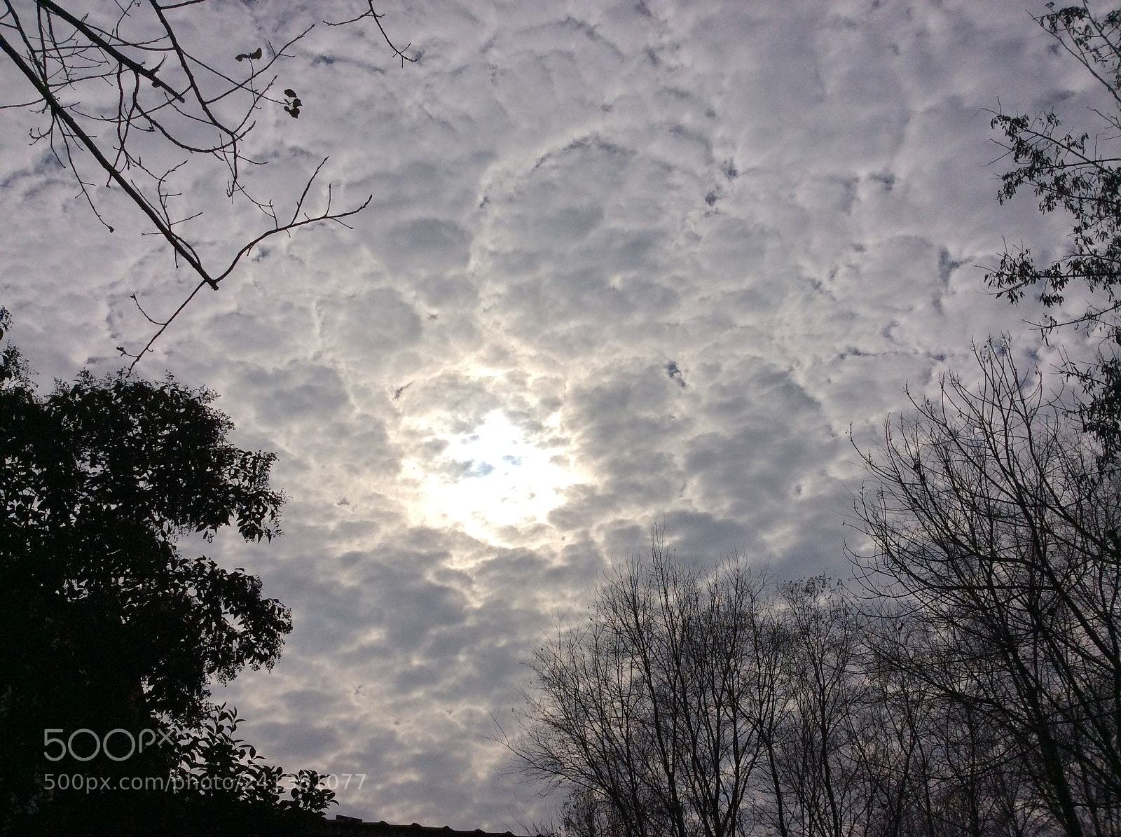 Apple iPad Air sample photo. Untitled photography