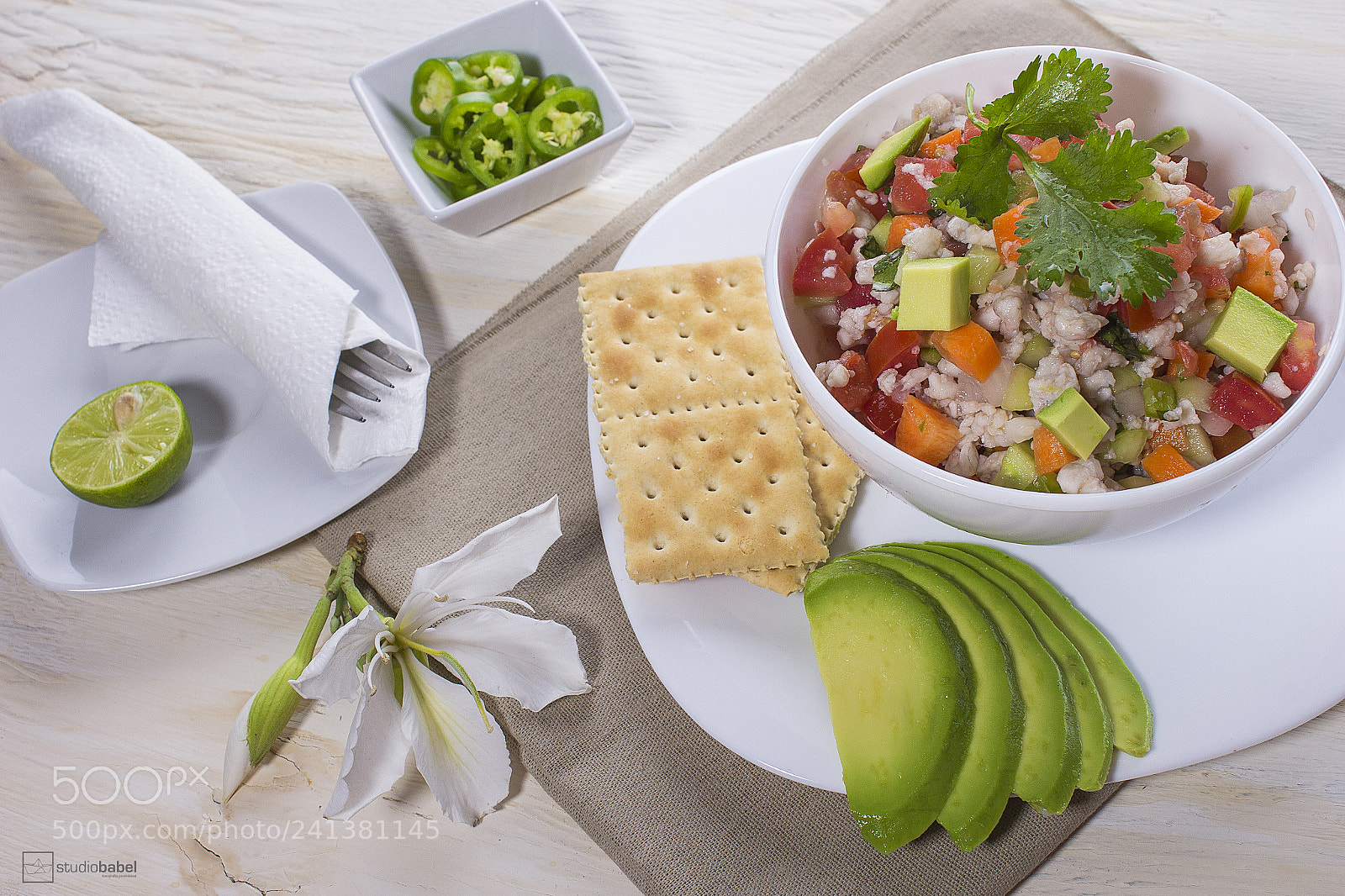 Canon EOS 60D sample photo. Ceviche photography