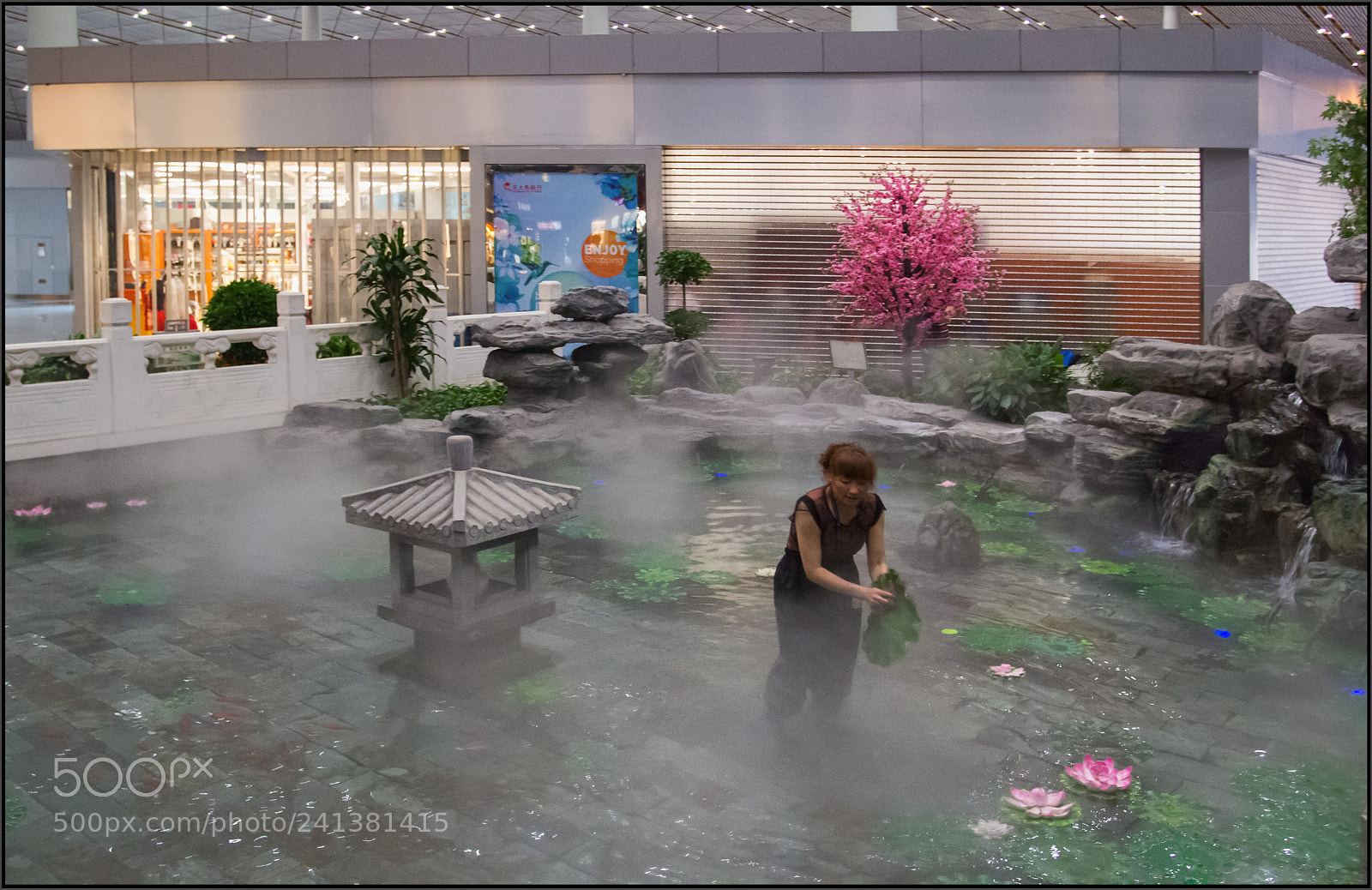 Canon EOS 550D (EOS Rebel T2i / EOS Kiss X4) sample photo. Airport. garden. night. photography