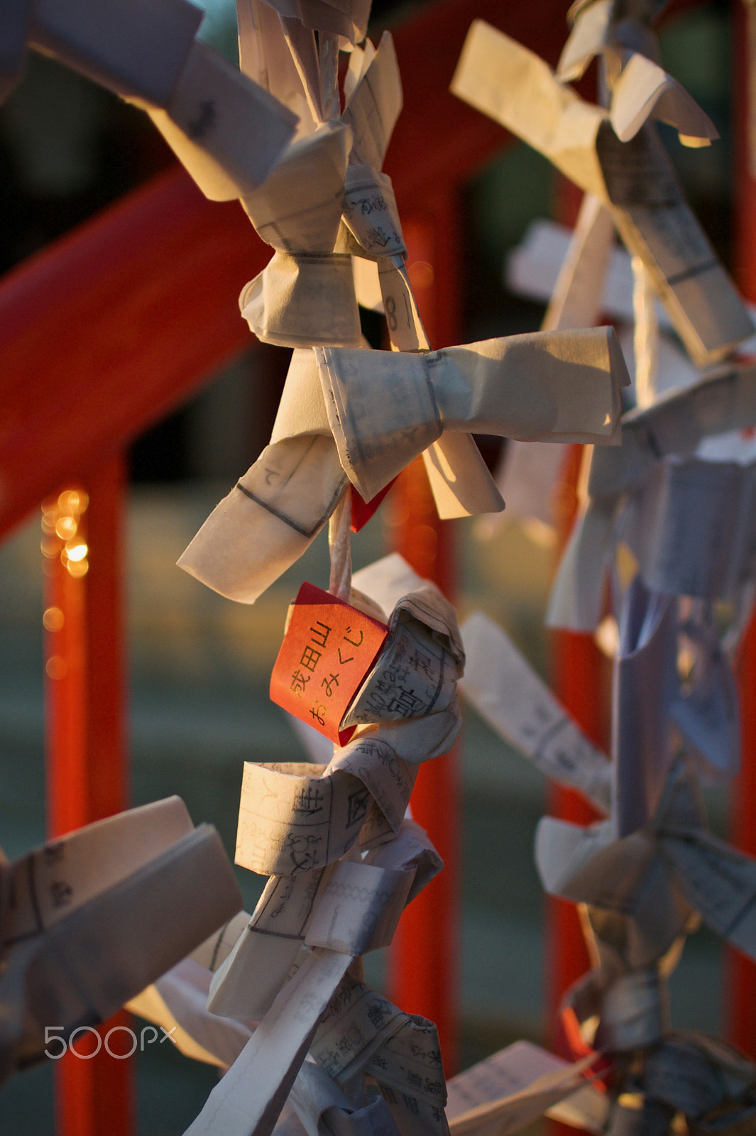 Nikon 1 J2 sample photo. Omikuji (fortune telling paper strips) photography