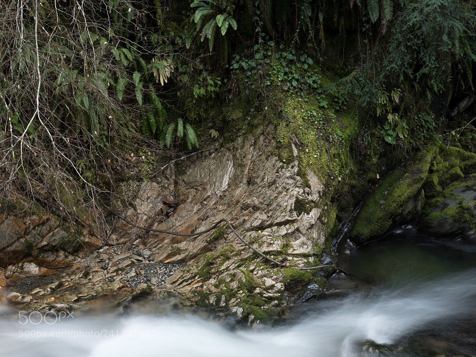 Pentax 645Z sample photo. Knopti creek photography