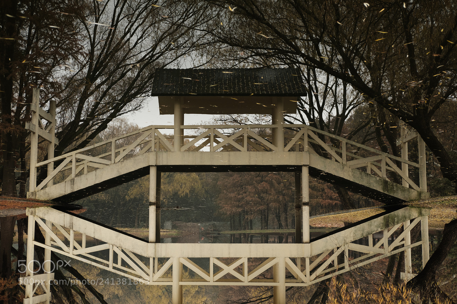 Fujifilm X-Pro2 sample photo. What is real photography