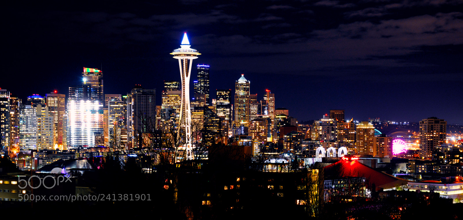 Nikon D600 sample photo. Seattle skylight photography