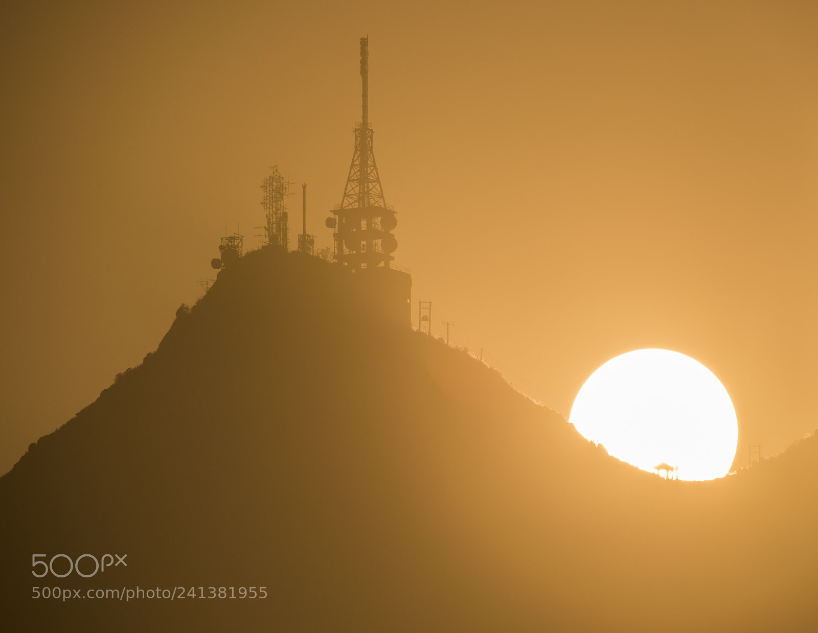 Nikon D810 sample photo. Big sun downtown on photography