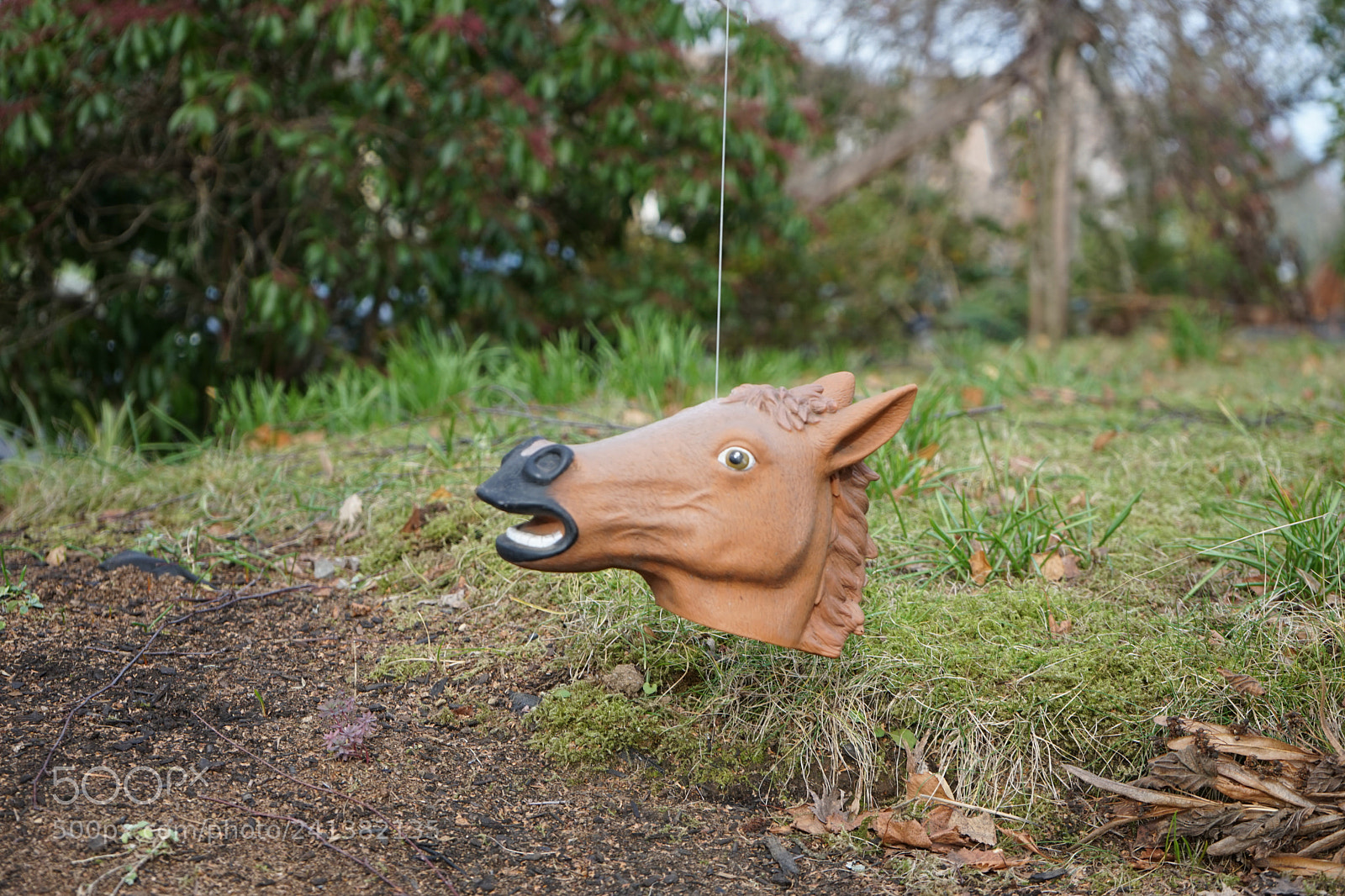 Sony a7 sample photo. Fear photography