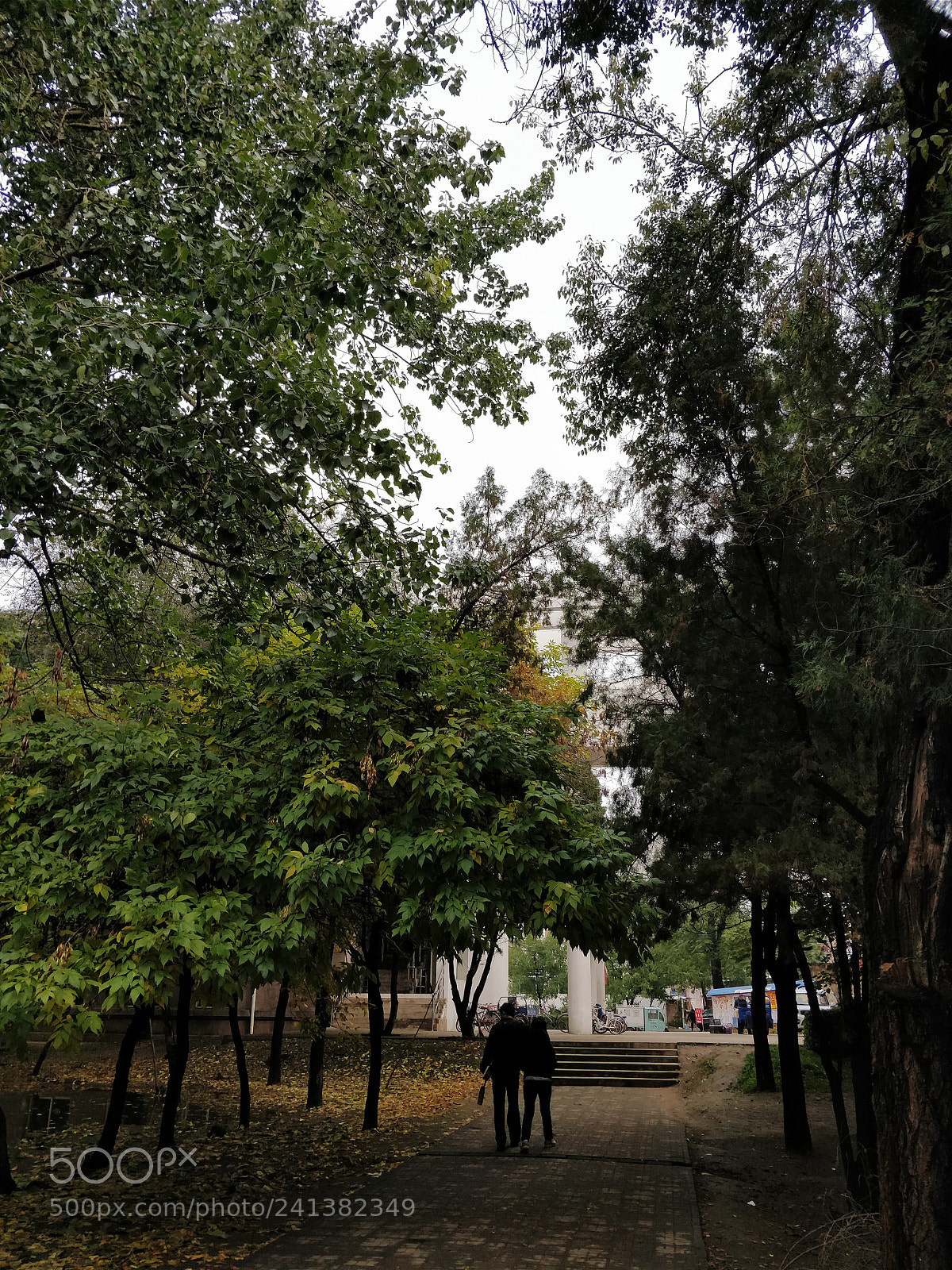 OnePlus 5 sample photo. Untitled photography