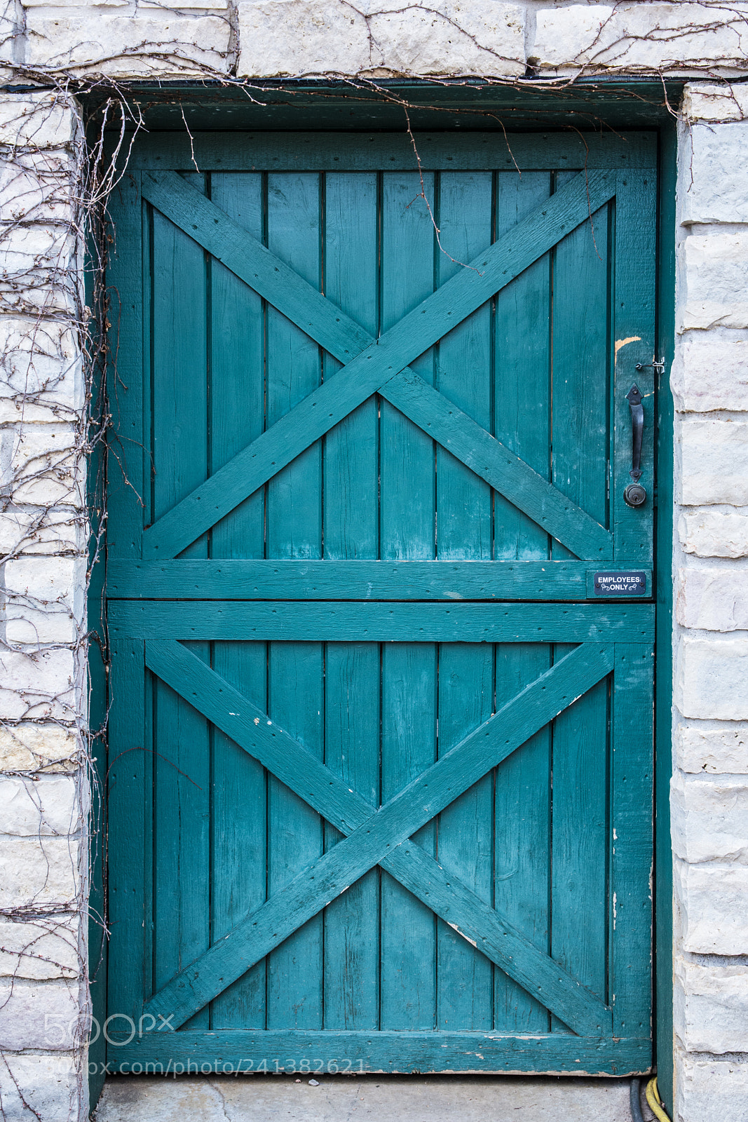 Nikon D7200 sample photo. Rustic door photography