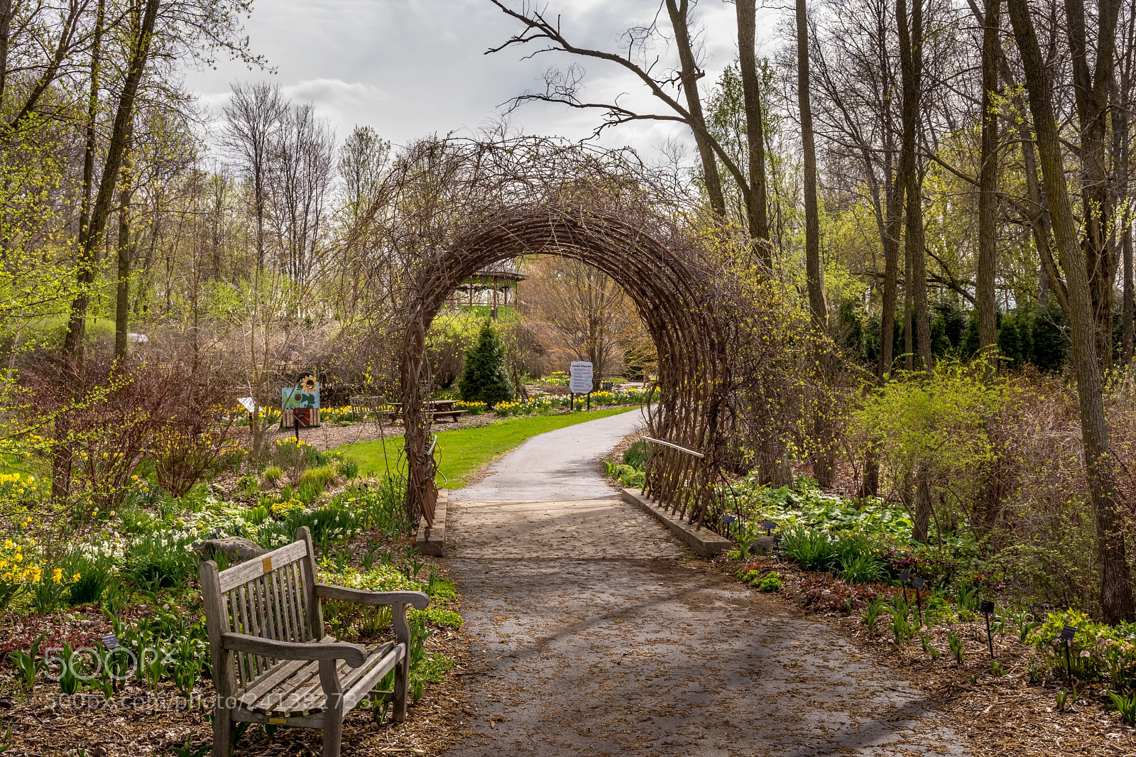 Nikon D7200 sample photo. Relaxing path photography