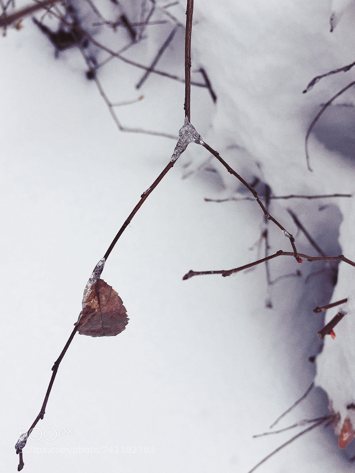 Apple iPhone 6s Plus sample photo. 冬、雪 photography