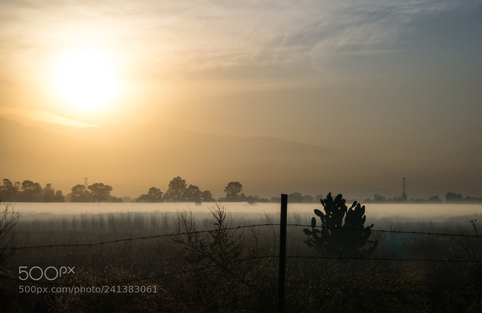 Sony SLT-A37 sample photo. Dawn photography